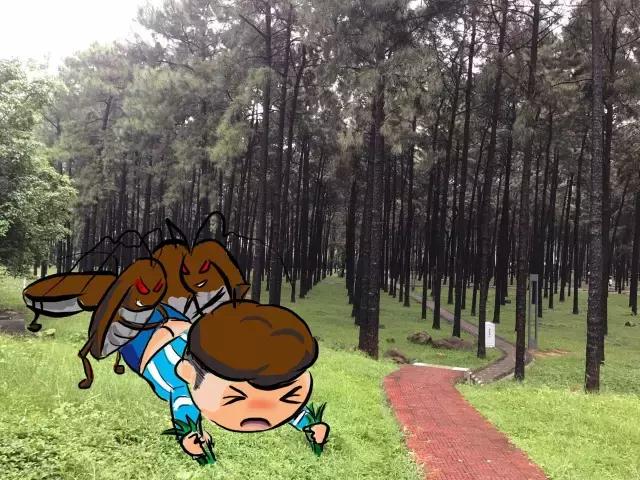 古天乐这六战神是怎么打上去的,古天乐四大毒虫