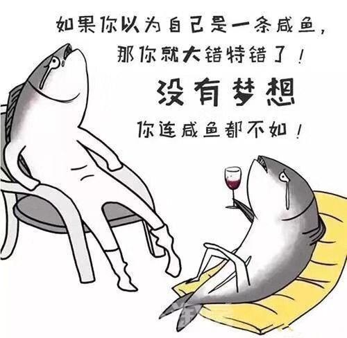 淘客运营详解视频,淘客精细化操作