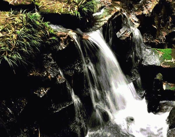 四川长宁竹海与赤水竹海,竹海风景区沐川