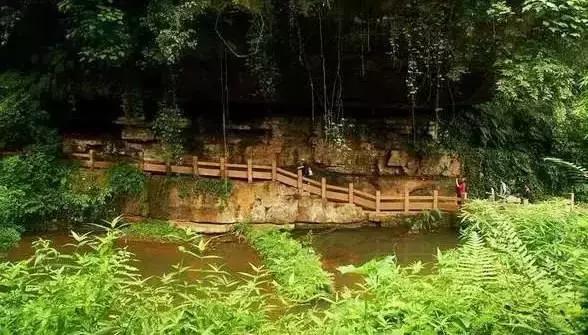 四川长宁竹海与赤水竹海,竹海风景区沐川