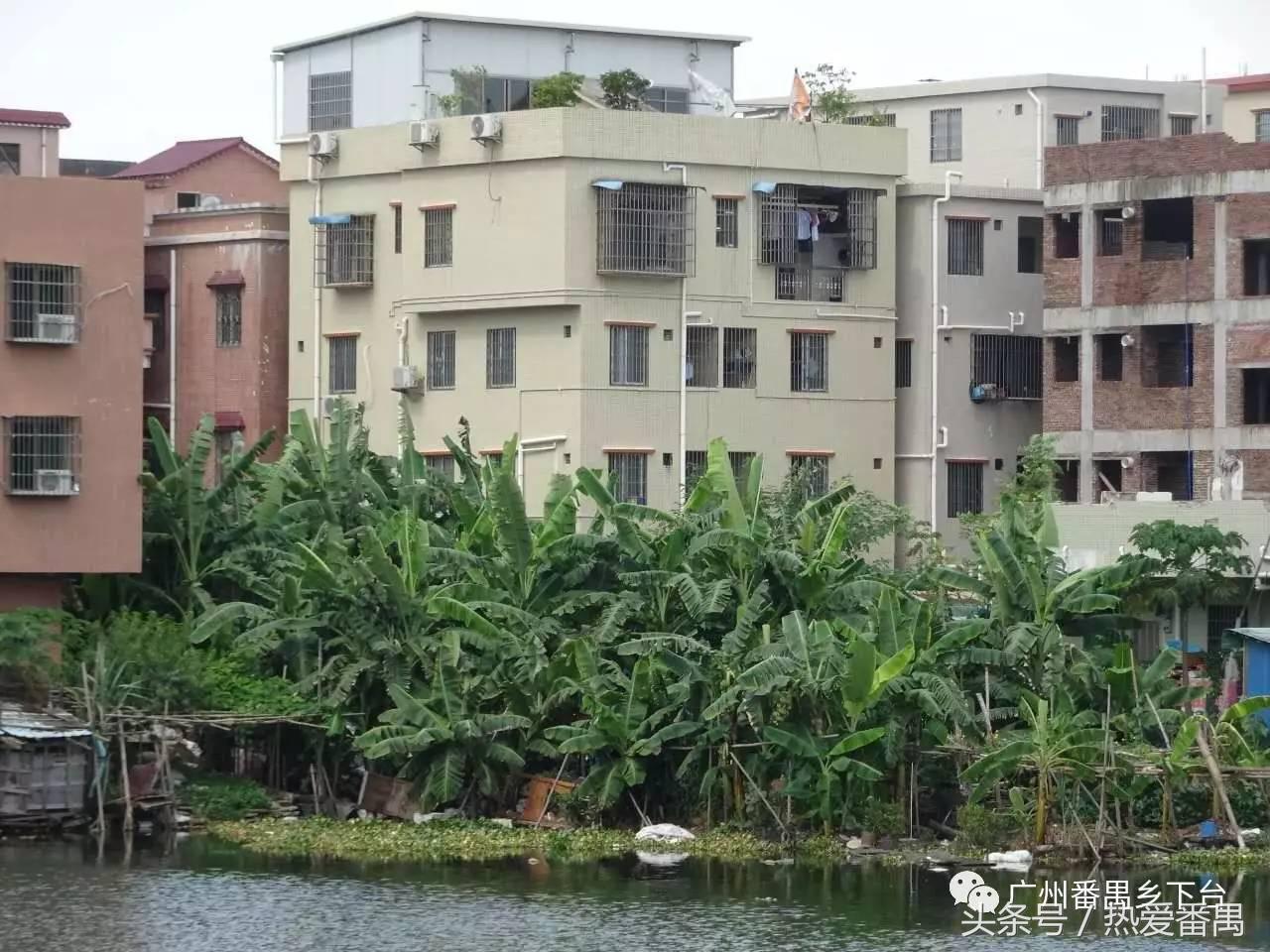 洛溪大桥为啥有个名字,洛溪大桥为什么叫洛溪大桥