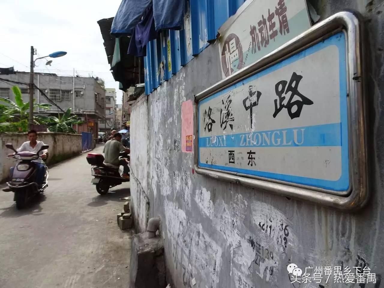 洛溪大桥为啥有个名字,洛溪大桥为什么叫洛溪大桥