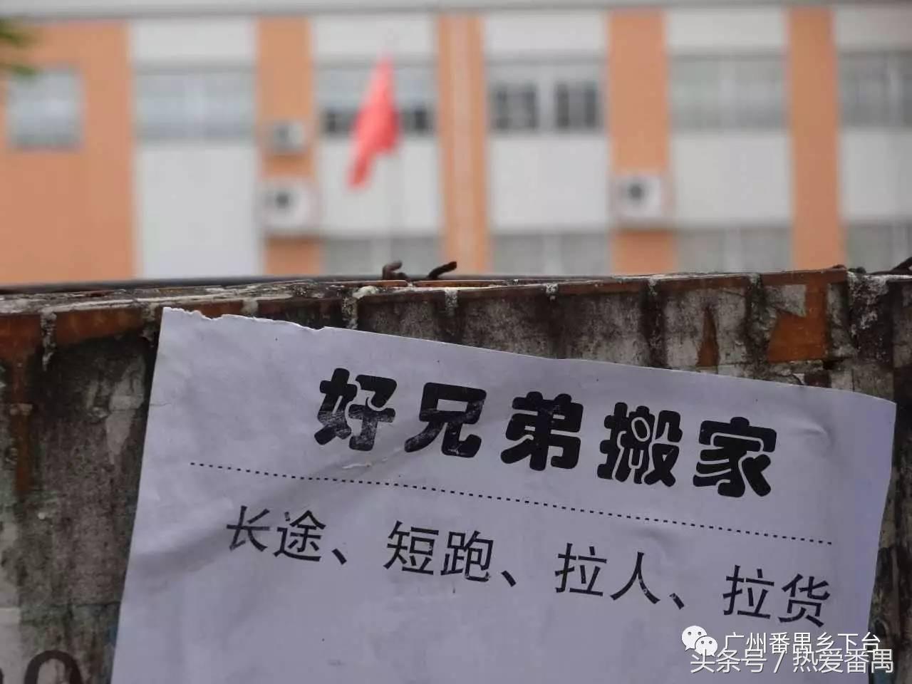 洛溪大桥为啥有个名字,洛溪大桥为什么叫洛溪大桥