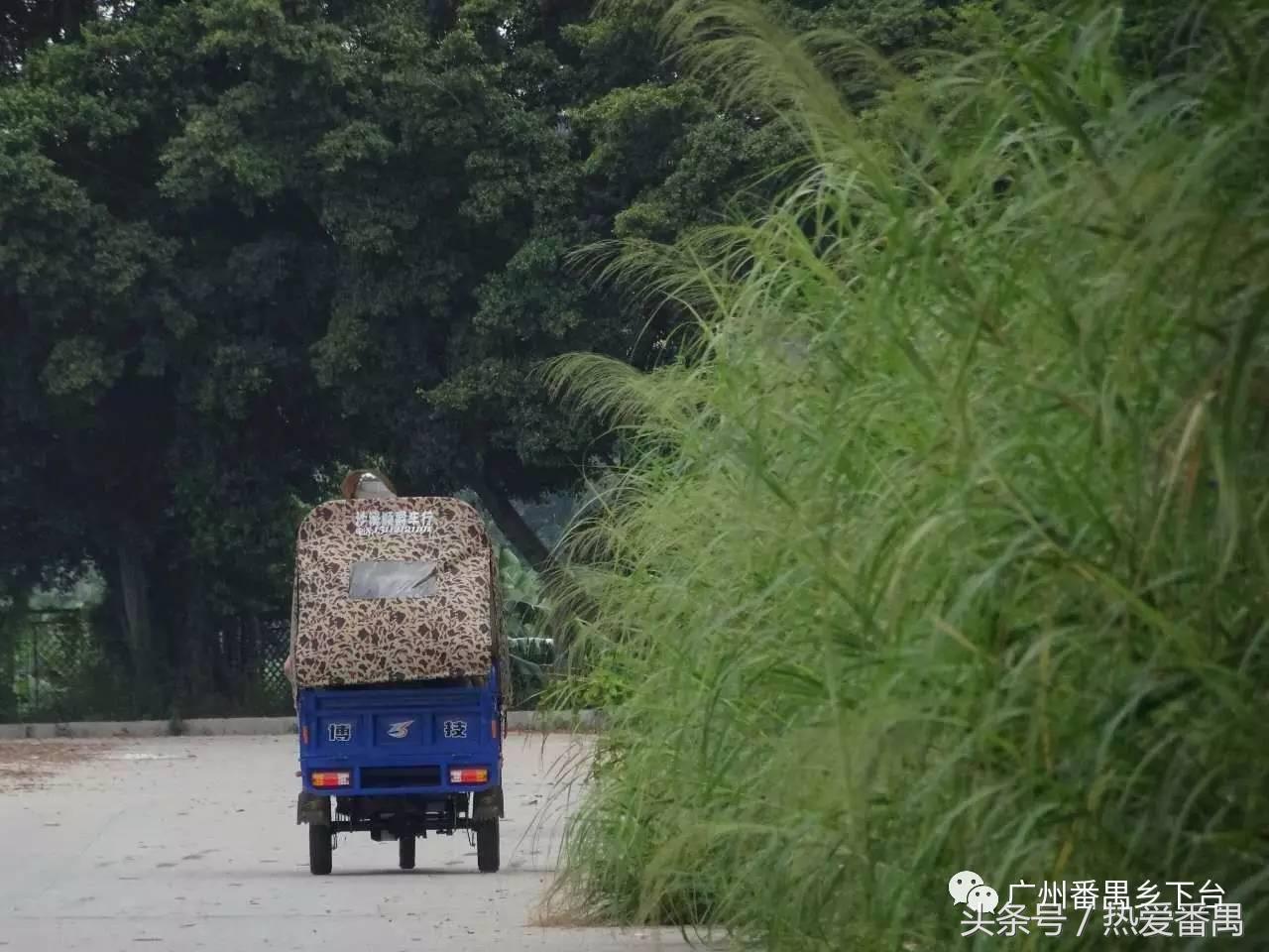 洛溪大桥为啥有个名字,洛溪大桥为什么叫洛溪大桥