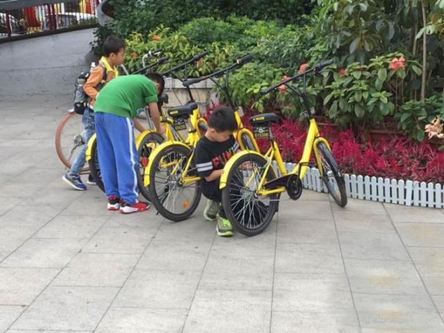 共享汽车为何难共享,共享汽车和共享汽车区别