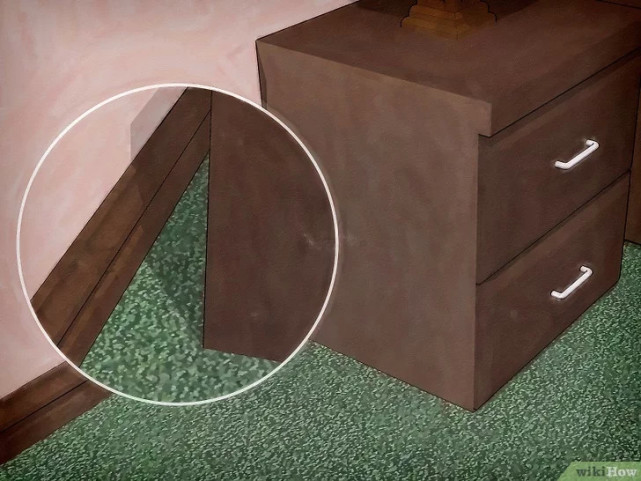 如何清除床虱,广东床虱怎么清除