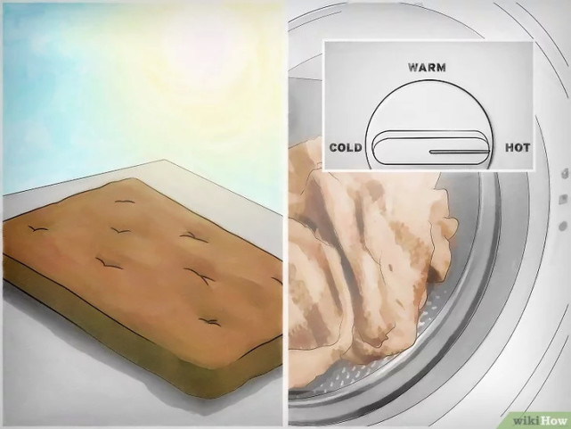 如何清除床虱,广东床虱怎么清除