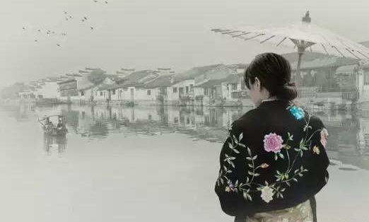 网编小说,网编类小说