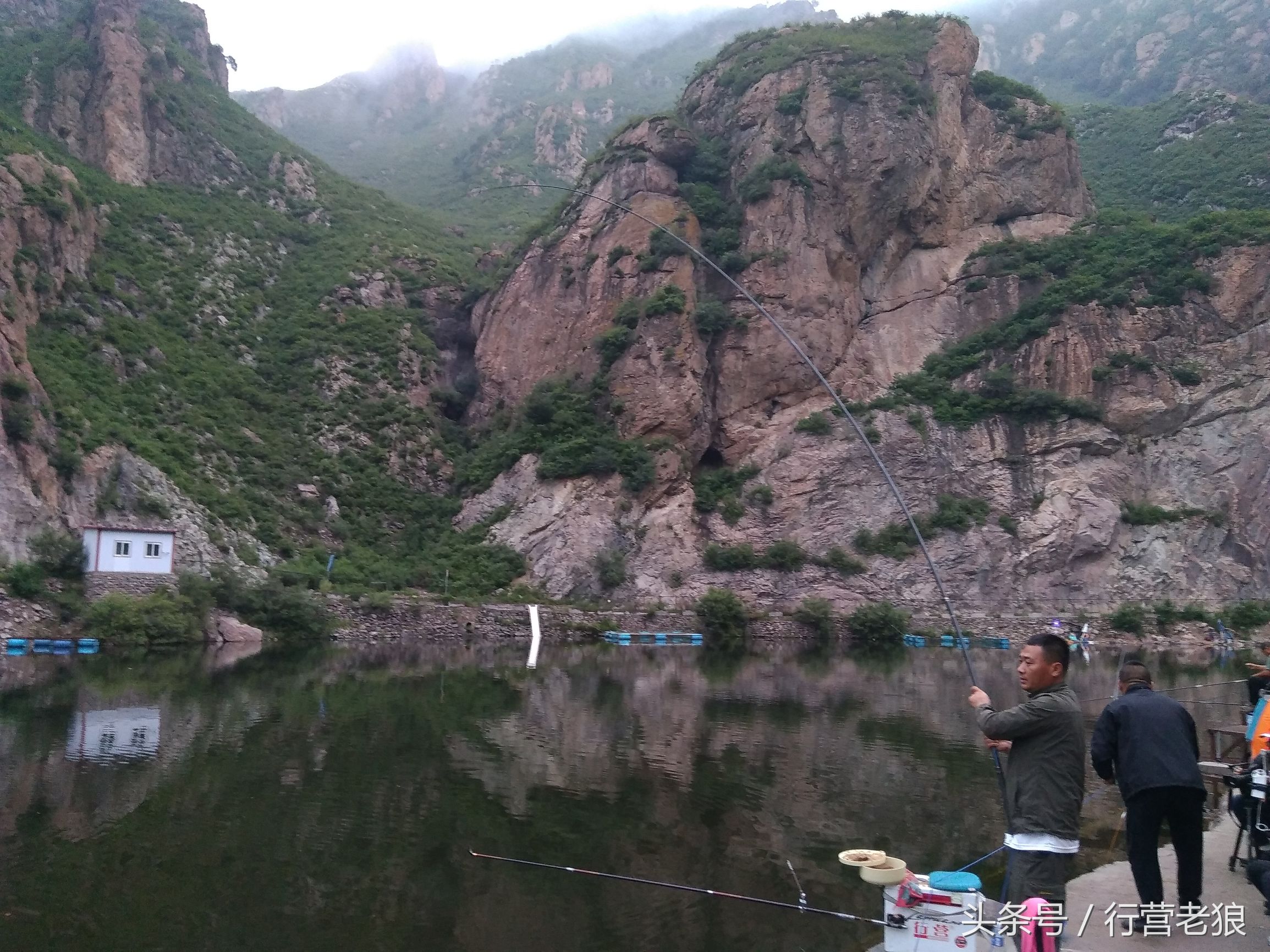 气温高钓鲢鳙为什么钓到小翘嘴,钓鲢鳙鱼气温下降怎样钓
