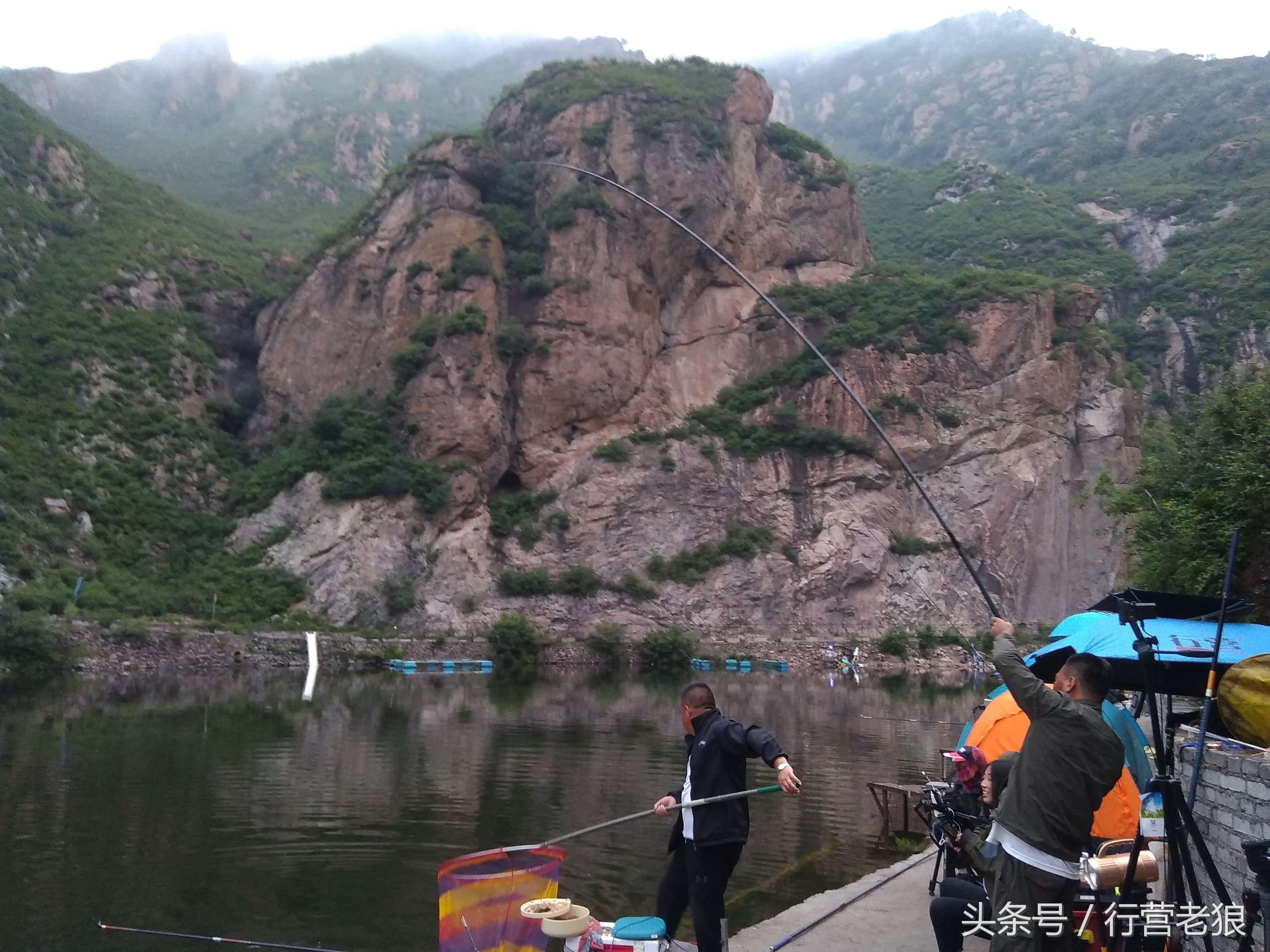 气温高钓鲢鳙为什么钓到小翘嘴,钓鲢鳙鱼气温下降怎样钓