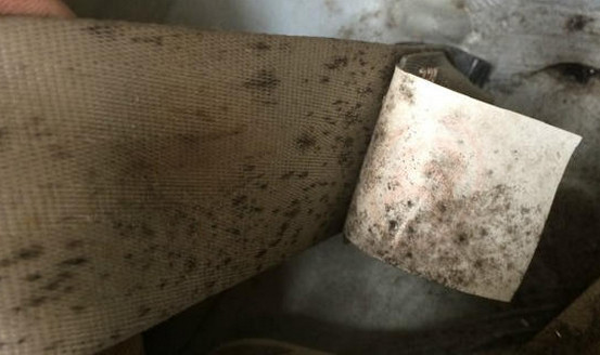 11年老马3二手自动多少钱合适,二手老马3怎么选