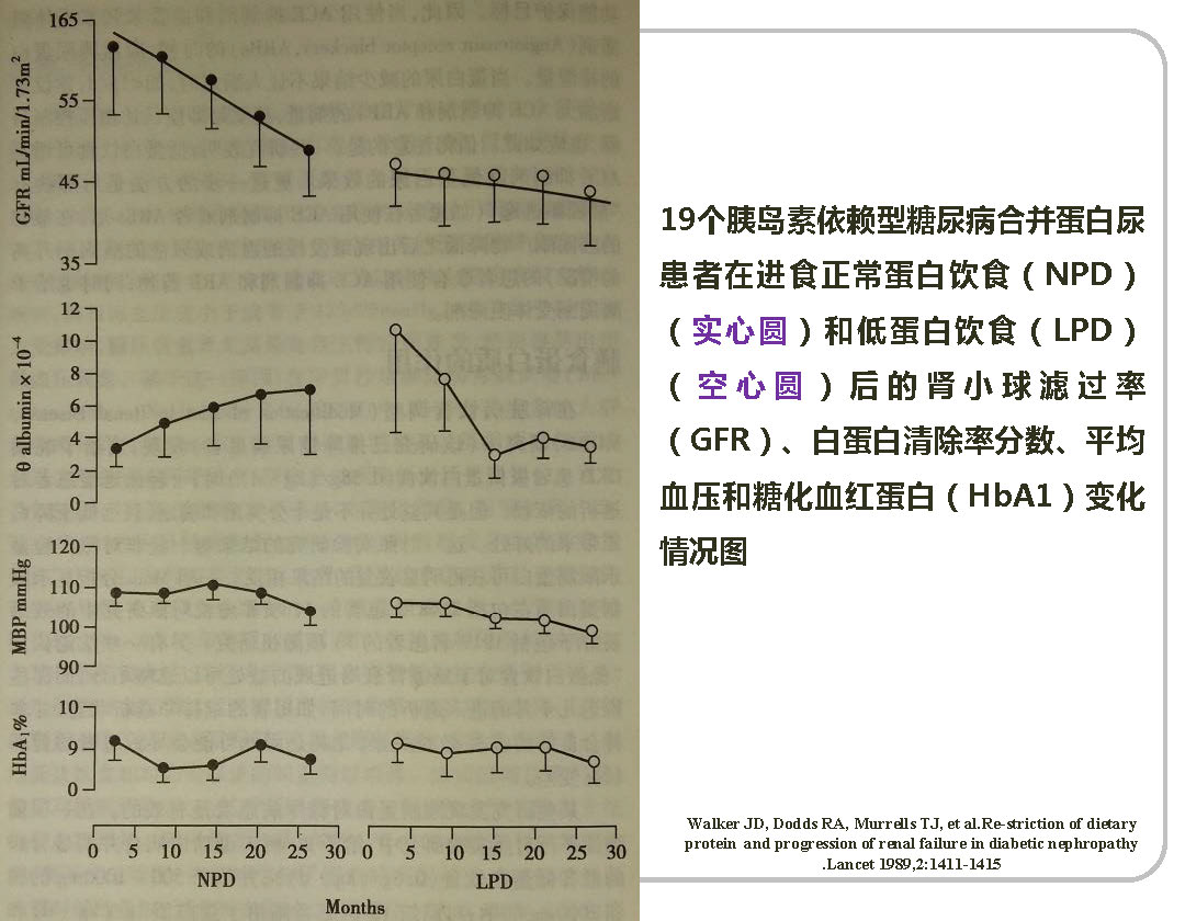讲座——糖尿病肾病的营养治疗1