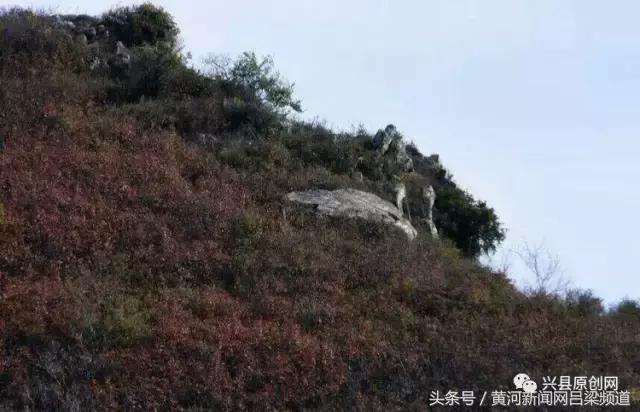 最美家乡县城,最美家乡鲁甸