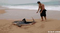 精灵、代购、吸金，这些摩登词儿古人写诗早用过了！