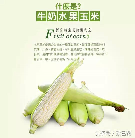 玉米的食用价值和经济价值,鲜玉米可食用部分有多少