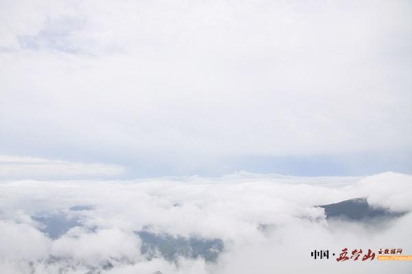 不经历风雨怎么见彩虹作文素材,不经历风雨怎么见彩虹英文