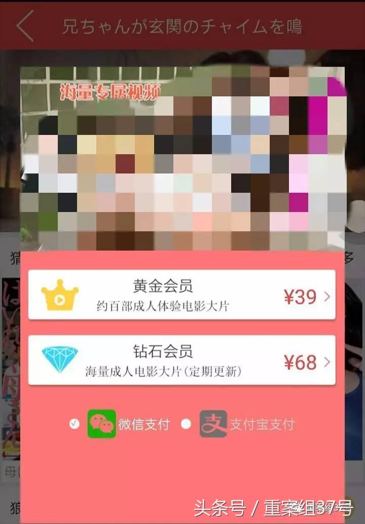 揭秘涉黄APP*局骗**:20秒小电影作幌,骗会员充值日入百万元