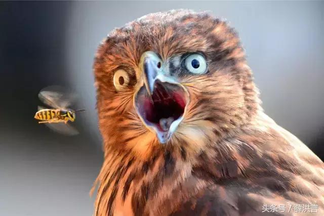 金融需要抛弃铁饭碗吗,金融行业是铁饭碗么