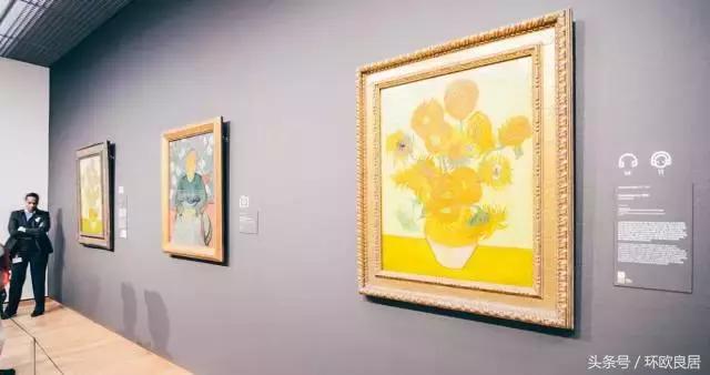 在荷兰真实感受,在荷兰两年的感受