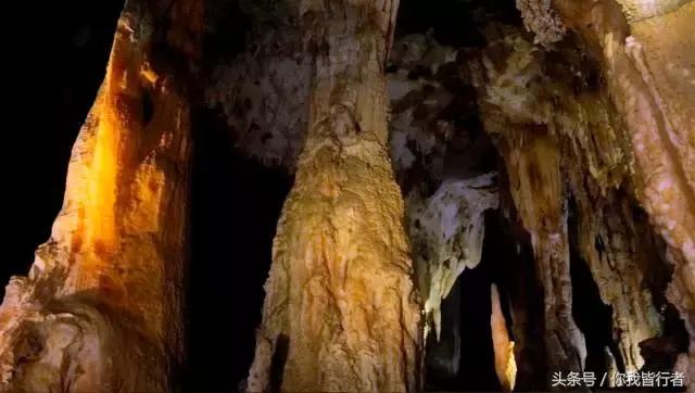 在深达数百米的天坑，大熊猫曾经到此一游