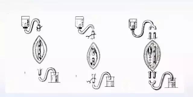 创面伤口感染如何处理,如何预防创面感染