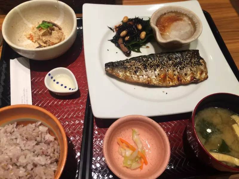 美女穷游10年走120个国家,穷游日本详细攻略