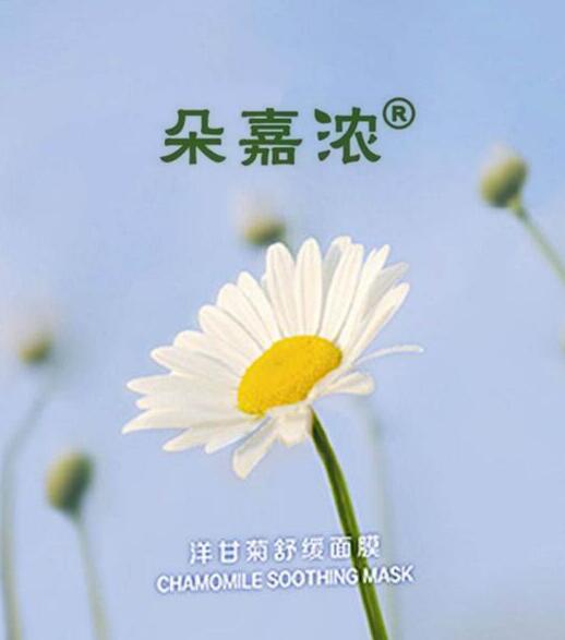 洋甘菊治红血丝吗,红血丝可以用洋甘菊吗