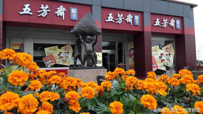 杭州自驾到舟山旅游攻略,杭州湾自驾游一日游