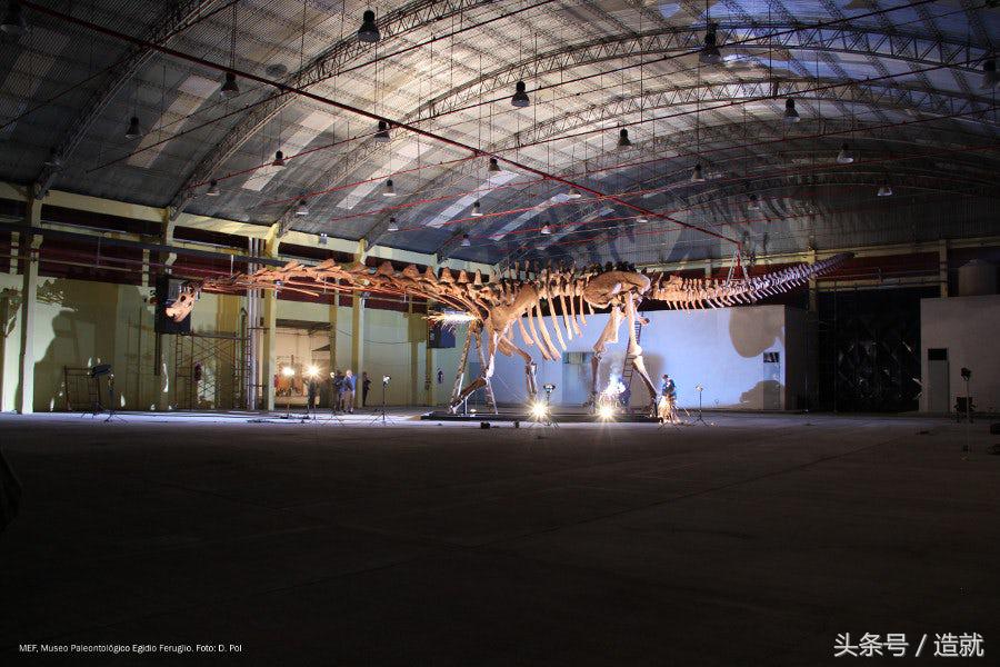 最大的一只恐龙化石是什么种类的,中国最大的恐龙化石博物馆在哪里