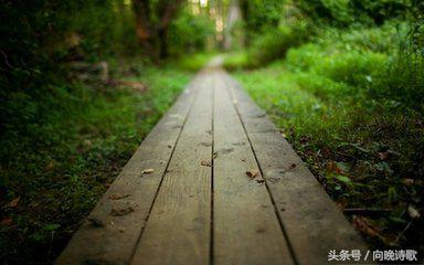 纯净的心灵胜过世间一切的美,纯净柔和的美