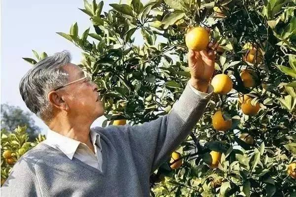 真正的企业家,靠什么引领三军打天下?(12个细节观察)