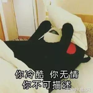 石家庄租房最低价,石家庄租房房价什么时候最低