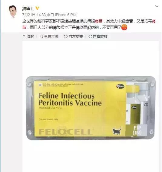 关于猫打疫苗的知识,自己给猫猫打疫苗的正确方法