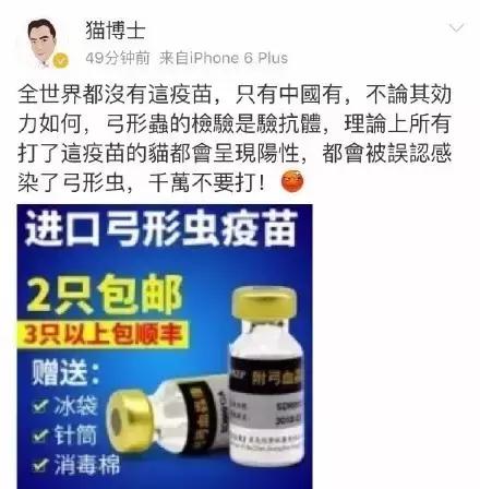 关于猫打疫苗的知识,自己给猫猫打疫苗的正确方法
