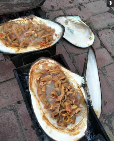 谁见过这么大的河蚌,世上最大的河蚌六斤重能出多少肉