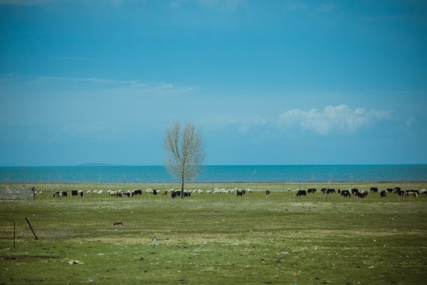 青海西北大环线旅游无人区在哪里,青海大环线高原风景
