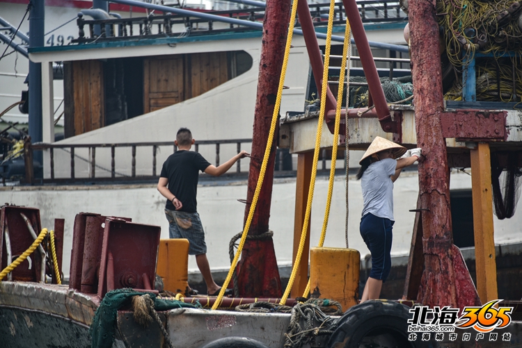 北海开渔仪式2020时间,北海开渔