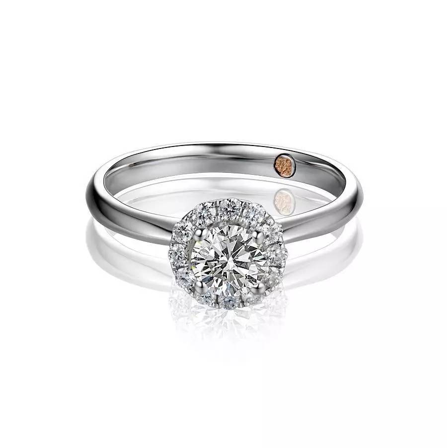 鏄庢槦鍚屾绉嶈崏濂界墿,鏄庢槦绉嶈崏鎺ㄨ崘