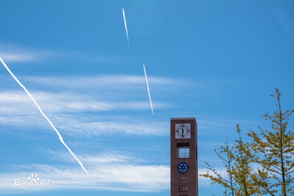 国科大和中科大哪个读研好,读研是中山大学好还是国科大好