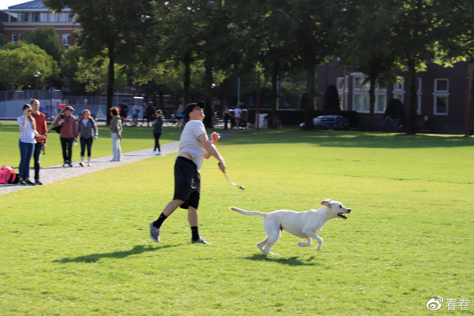 佳能6d2到底值不值得入手,6d2可通过固件升级解决宽容度吗