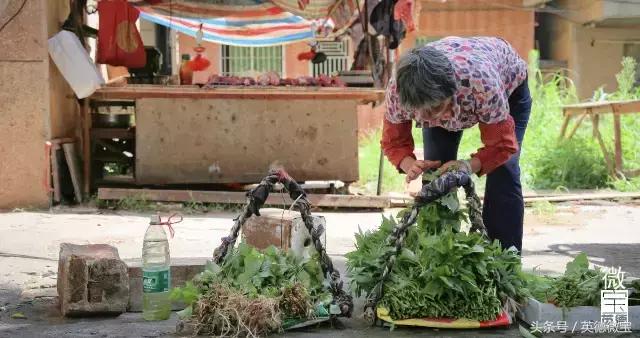 英德这条路分布着四大学府!青春的回忆!看完后我哭了