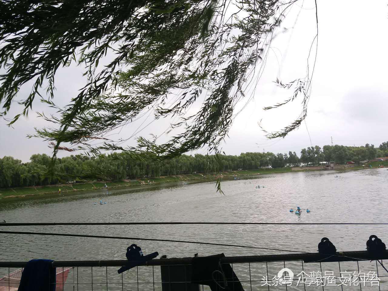 风前雨后好钓鱼，这场比赛注定异常精彩！