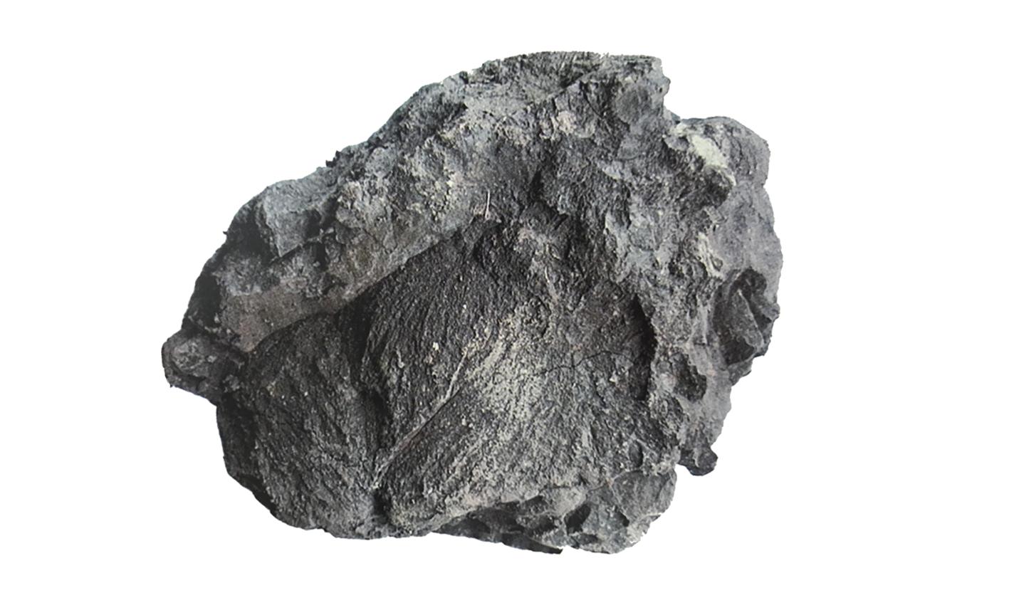 泽锋全部视频完整,泽锋评论