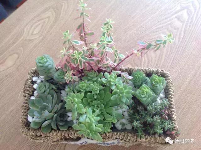 铂悦府小户型装修效果2期,烟台铂悦府装修效果图