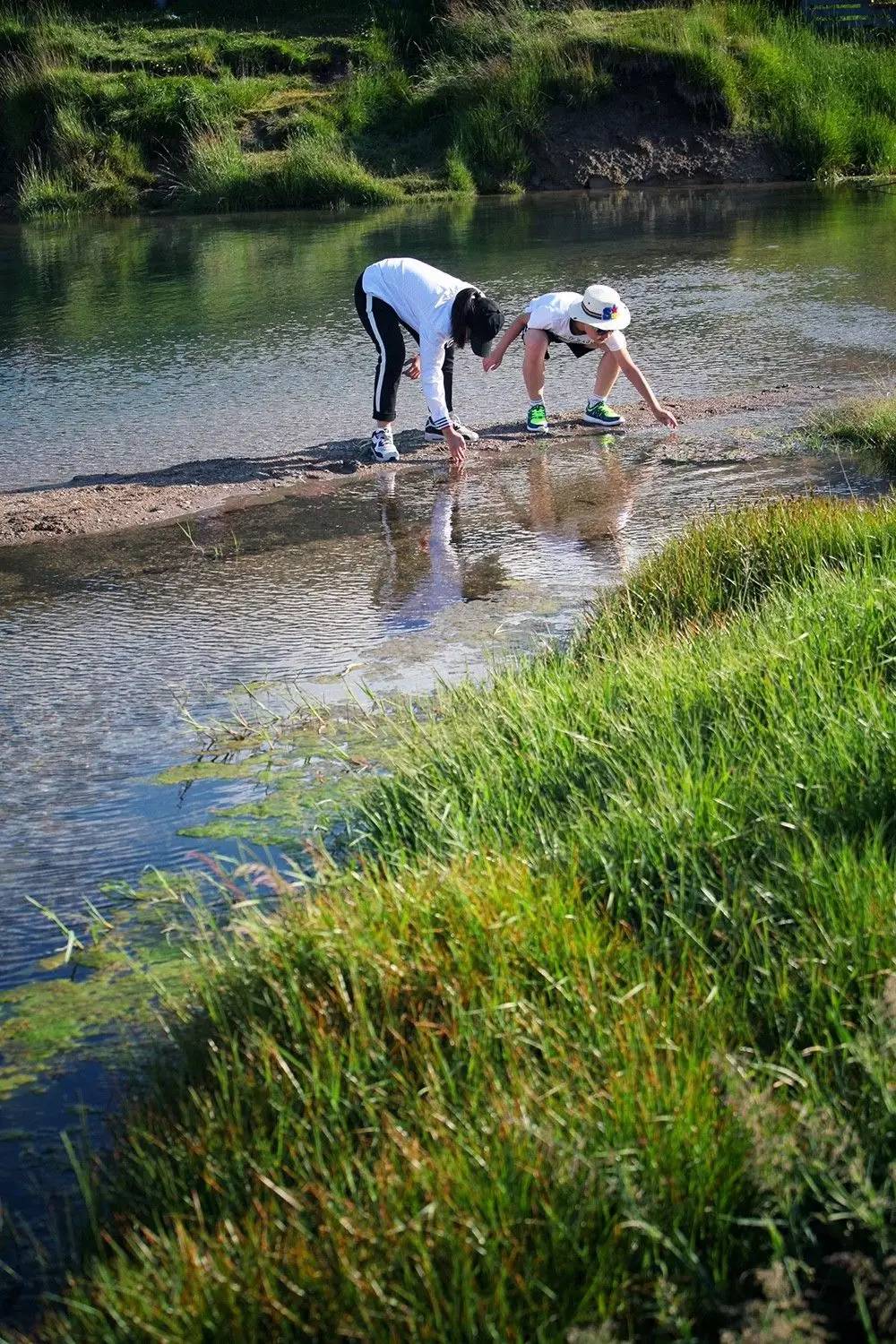 大手牵小手我们一起走,大手牵小手我们一起走图片