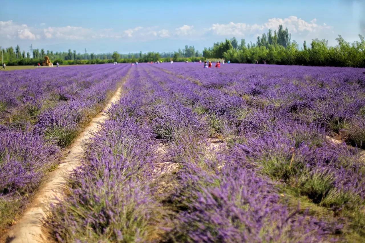 大手牵小手我们一起走,大手牵小手我们一起走图片