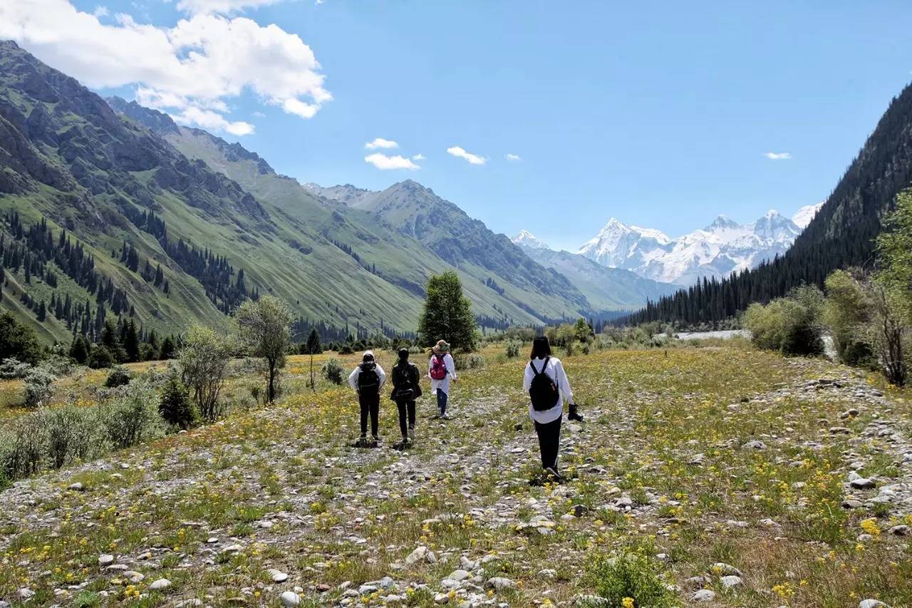 大手牵小手我们一起走,大手牵小手我们一起走图片