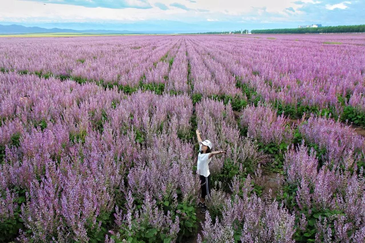 大手牵小手我们一起走,大手牵小手我们一起走图片
