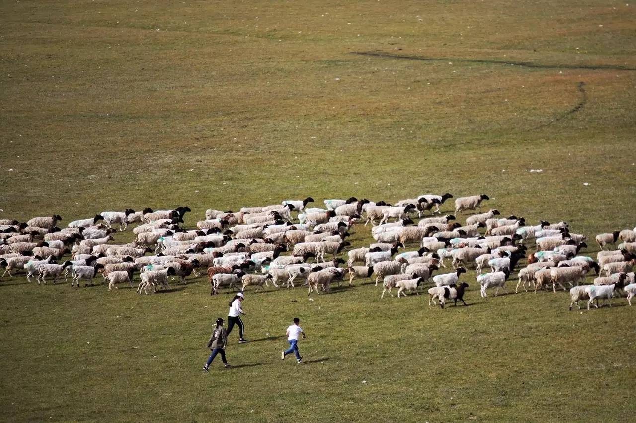 大手牵小手我们一起走,大手牵小手我们一起走图片