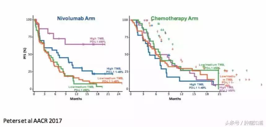 pd-1是什么制剂 (pd-1与pd-l的区别)